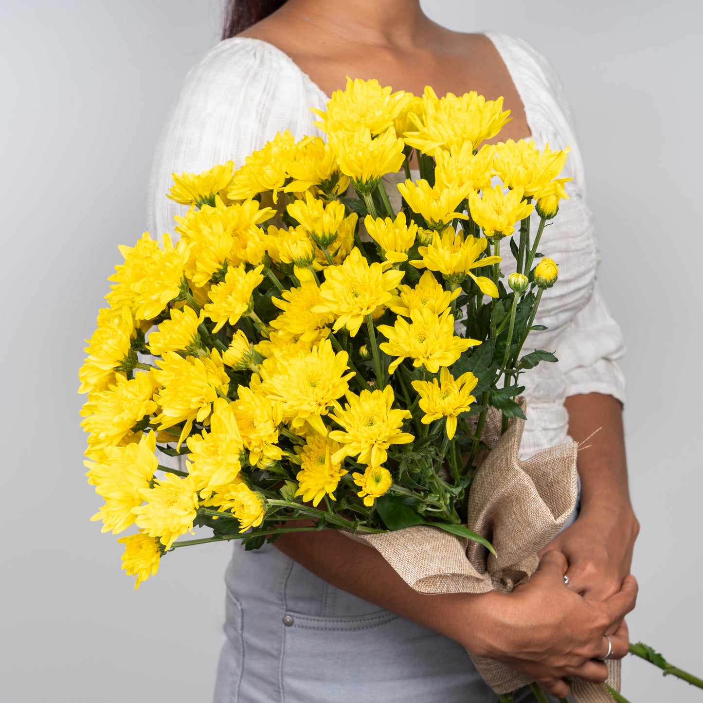 Chrysanthemum Yellow