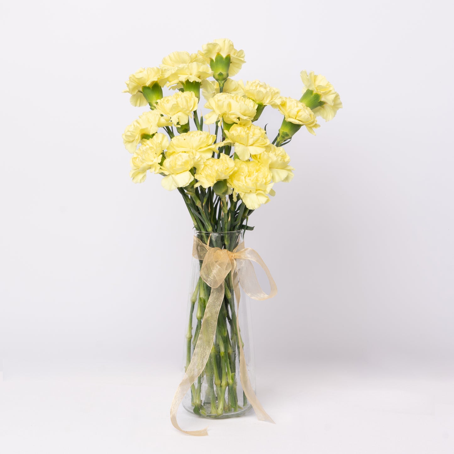Carnation Yellow