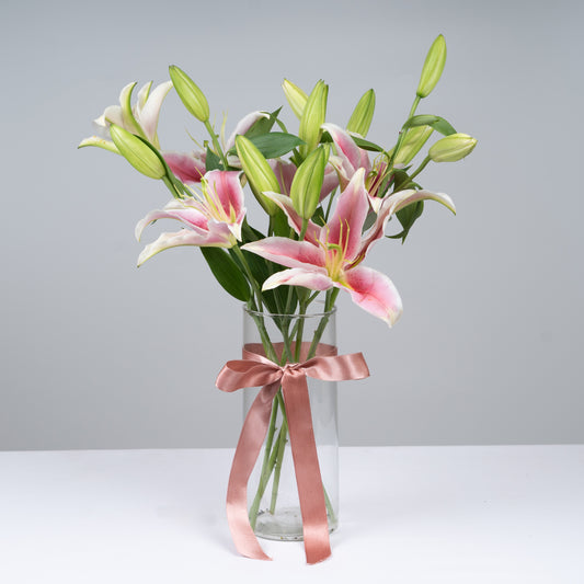 Oriental Lilly Pink