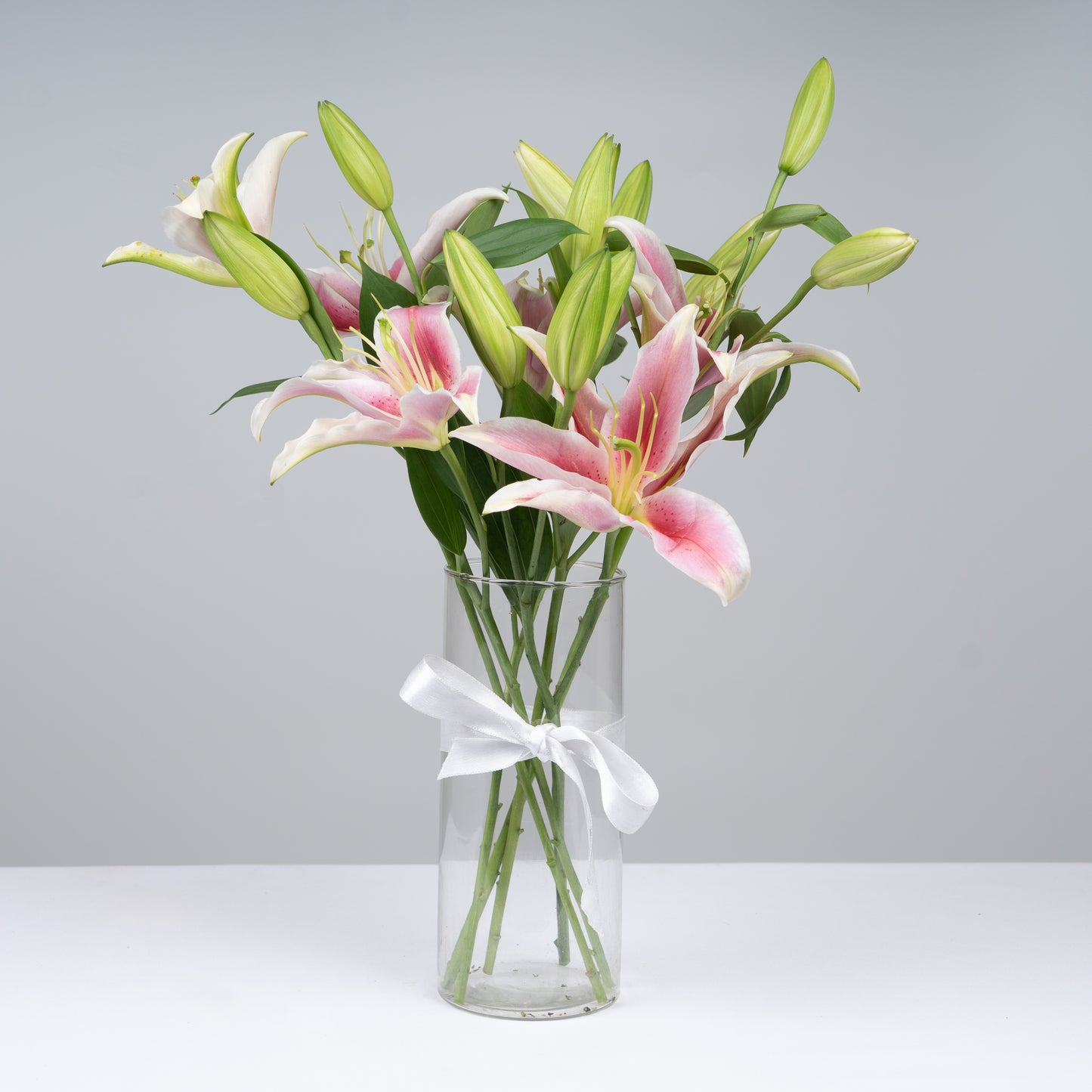 Oriental Lilly Pink