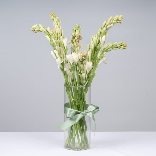 Tuberose - 10 Stems