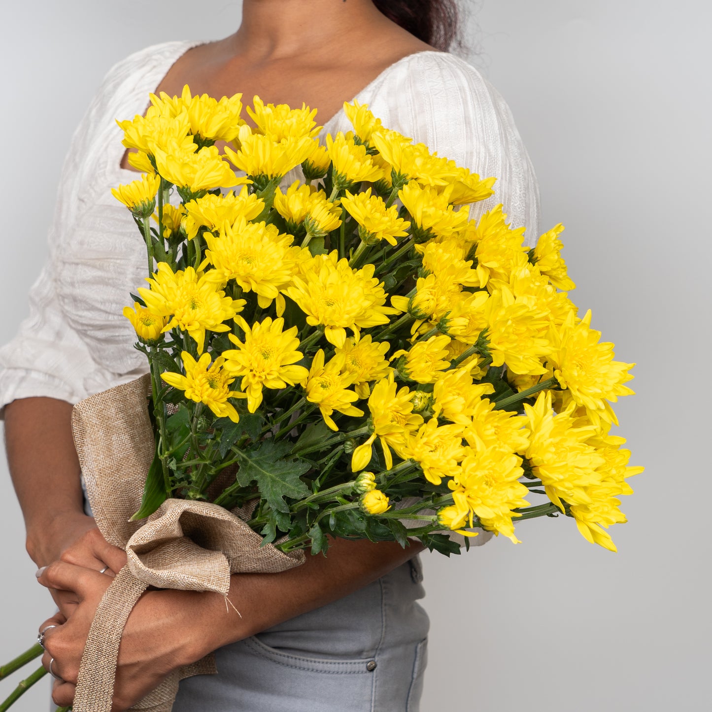 Chrysanthemum Yellow