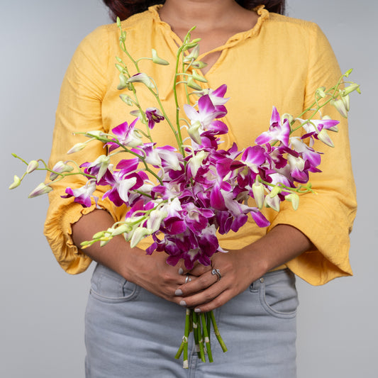 Blooming Purple Orchid