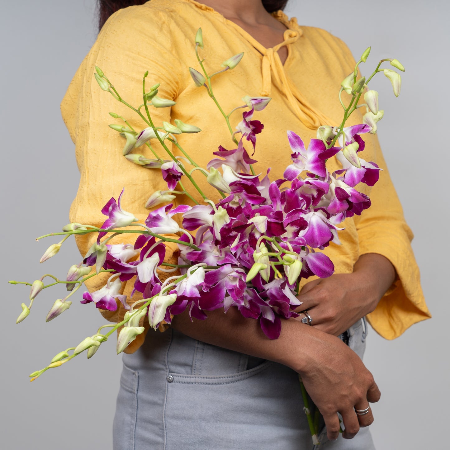 Blooming Purple Orchid