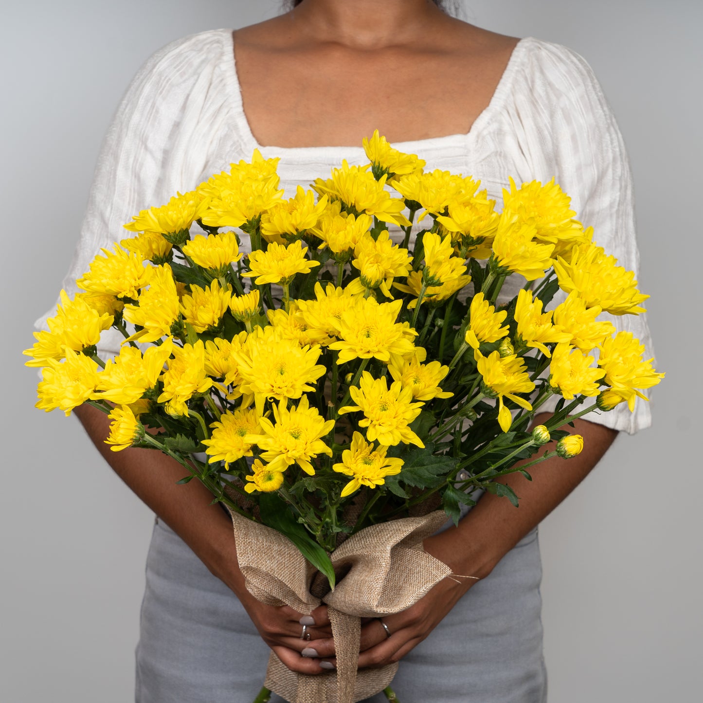 Chrysanthemum Yellow