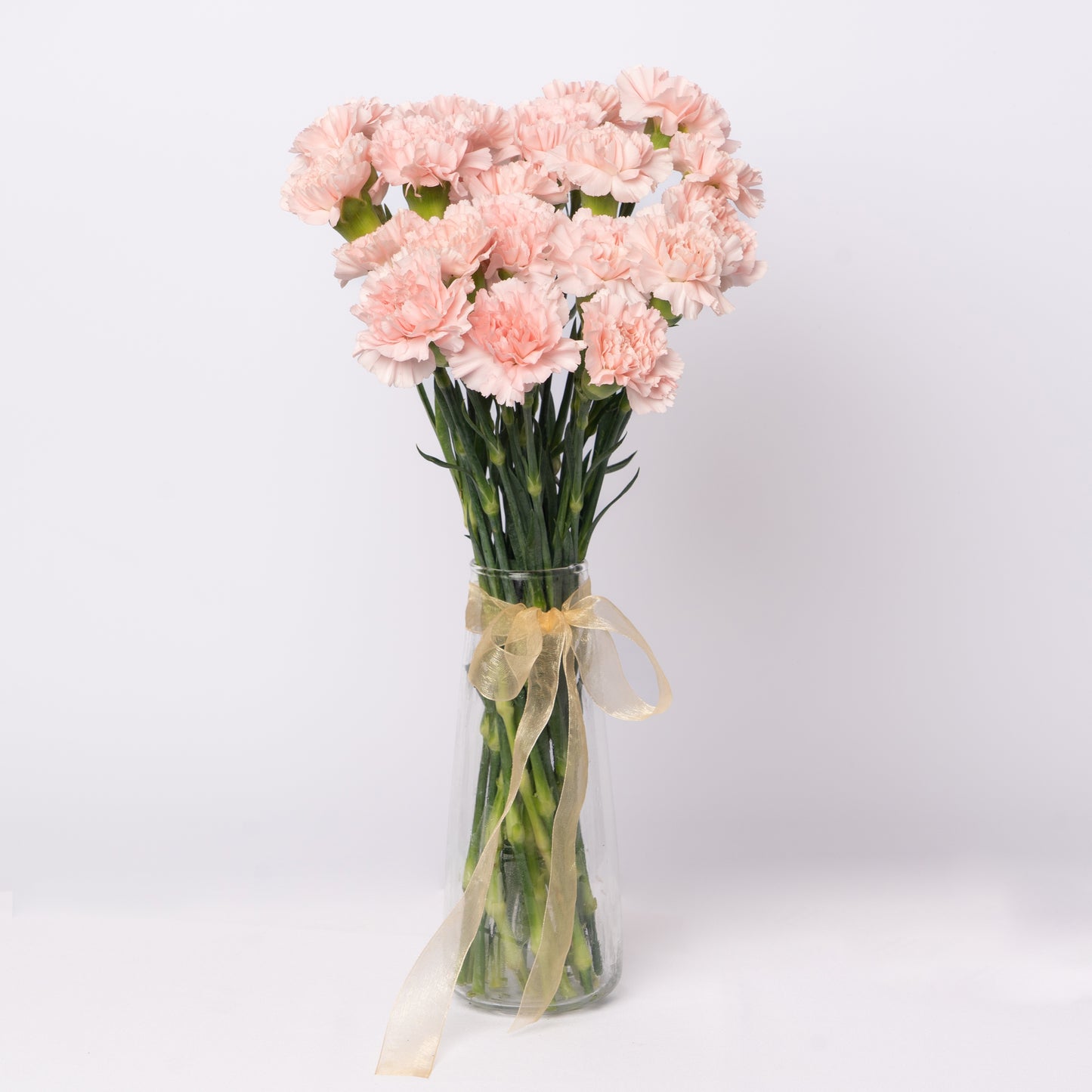 Carnation Pink