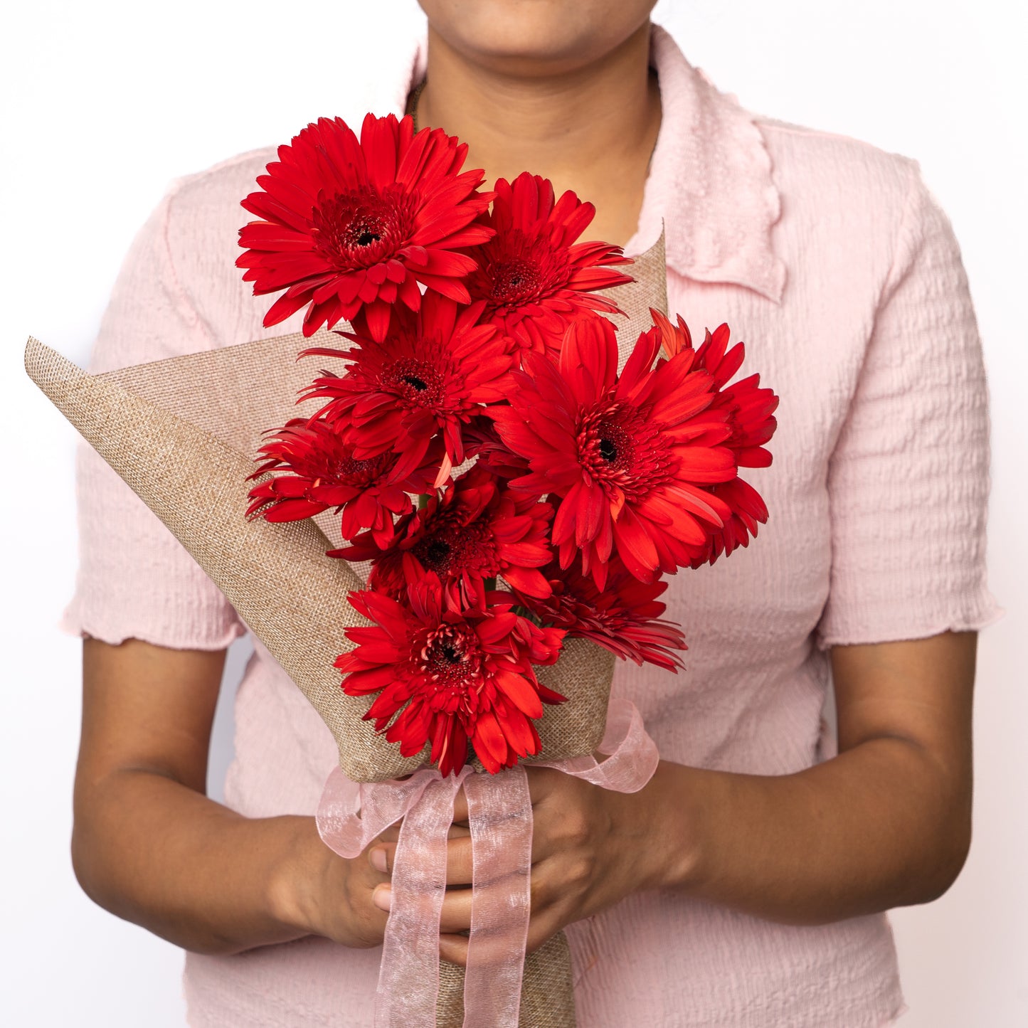 Gerbera Red