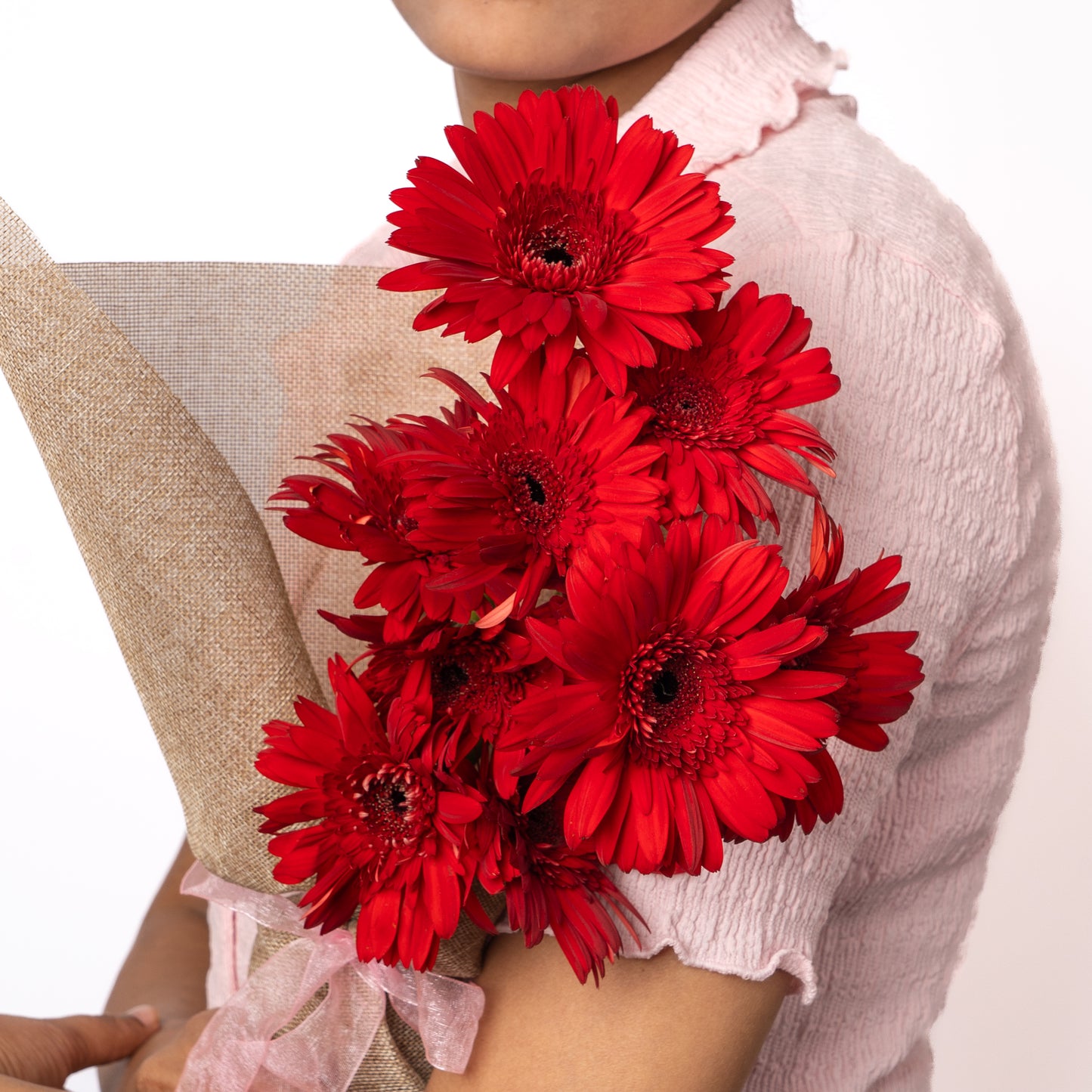 Gerbera Red