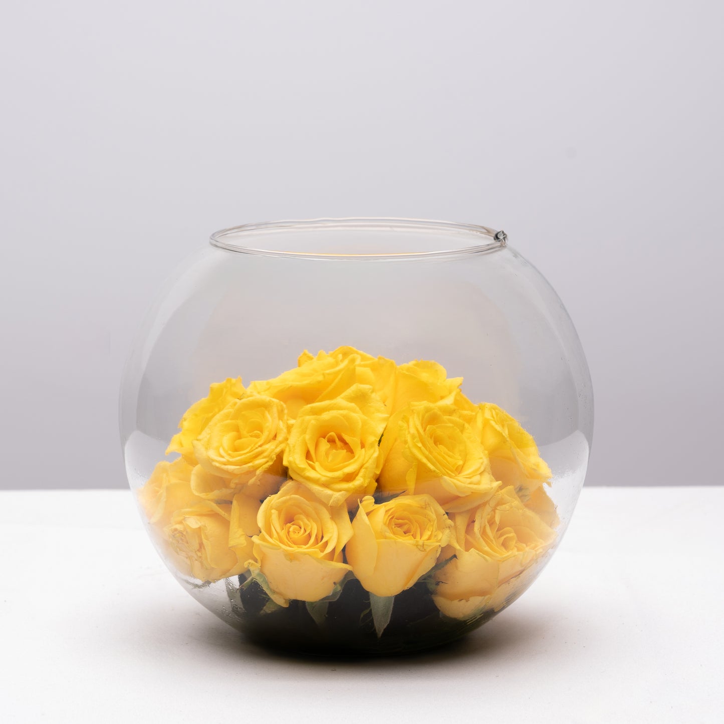 Radiant Yellow Rose Aquarium