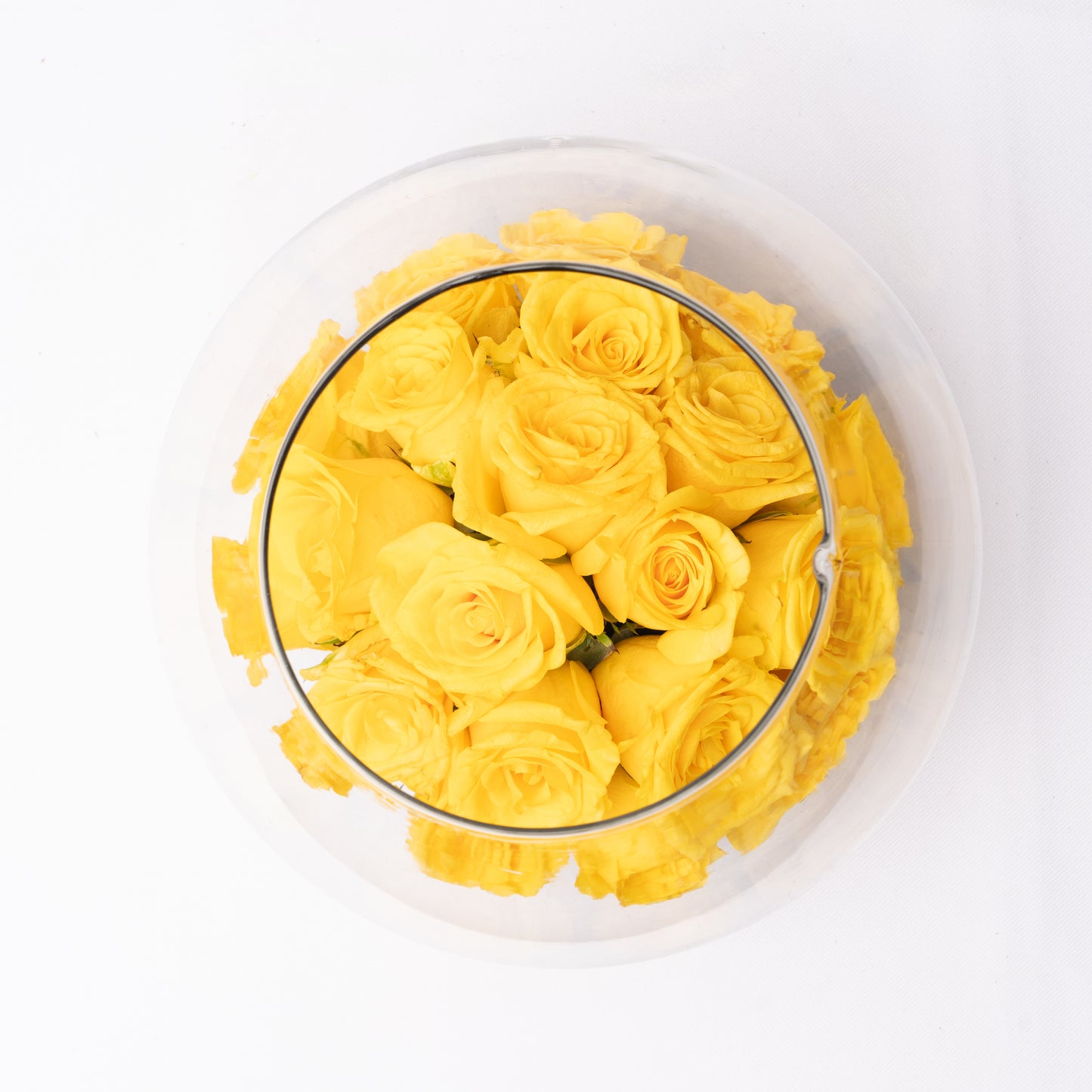 Radiant Yellow Rose Aquarium