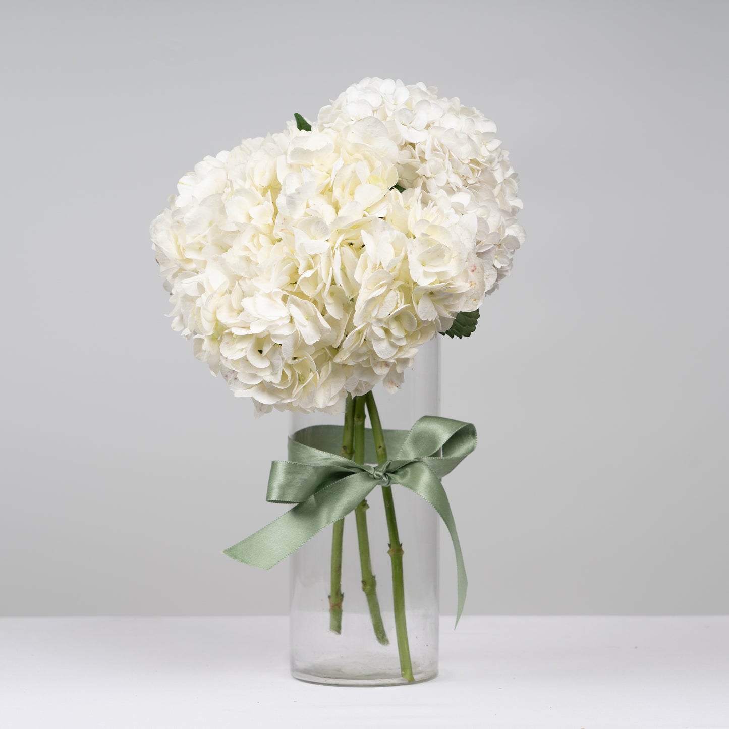 White Hydrangea