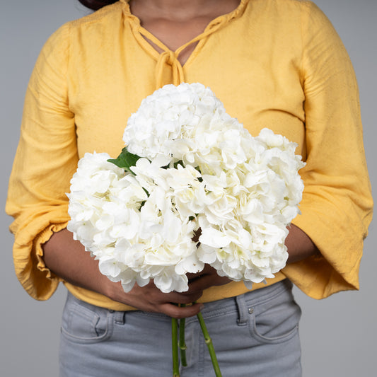 White Hydrangea