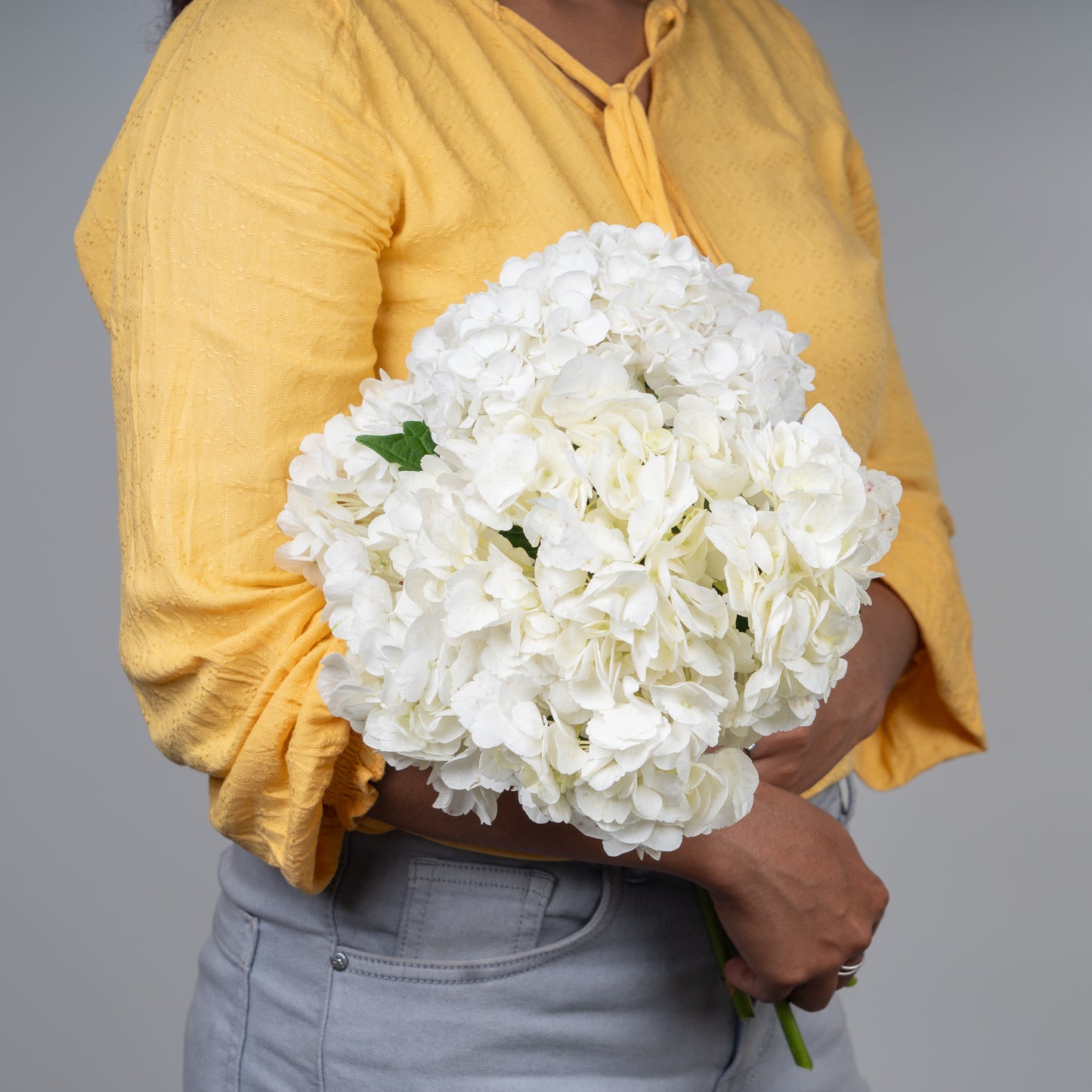 White Hydrangea