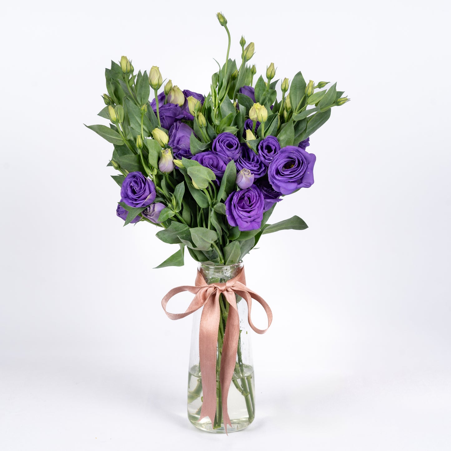 Eustoma Purple