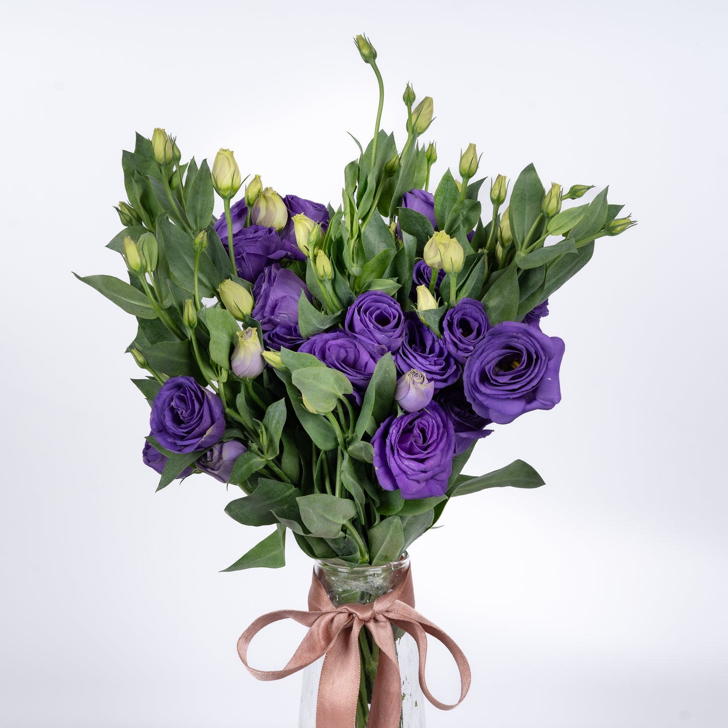 Eustoma Purple