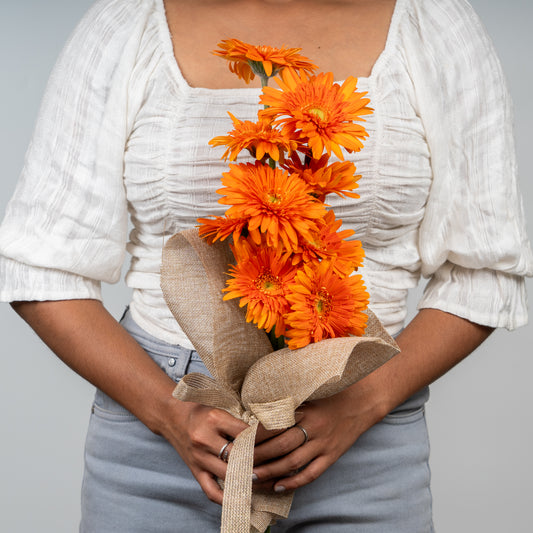 Gerbera Orange