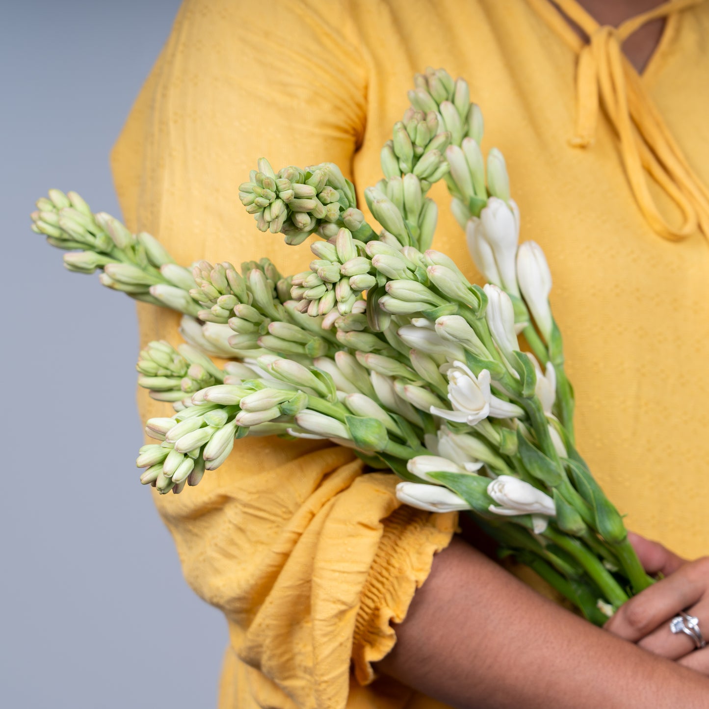 Bunch of Tuberose